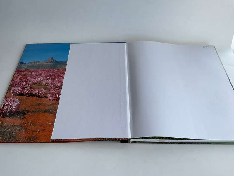 Southern African Wild Flowers - Jewels of the Veld by John Manning