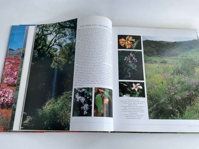 Southern African Wild Flowers - Jewels of the Veld by John Manning