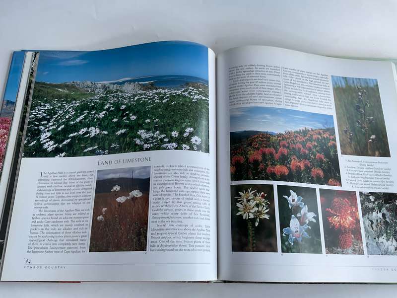 Southern African Wild Flowers - Jewels of the Veld by John Manning