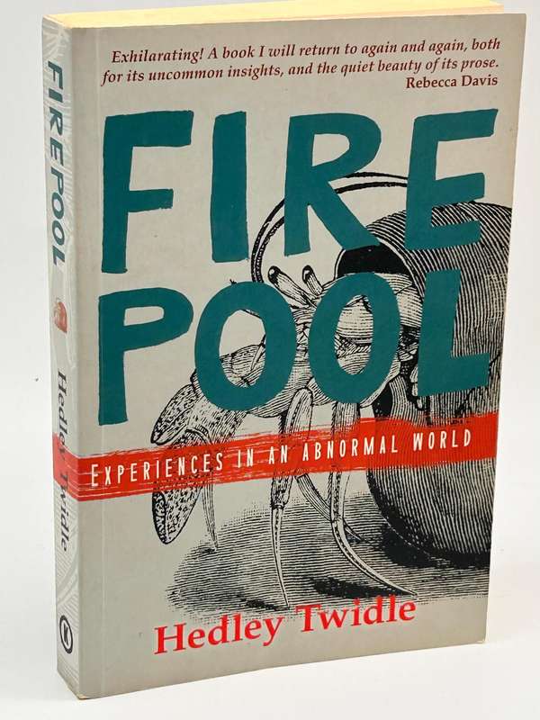 Firepool: Experiences In An Abnormal World - Hedley Twidle