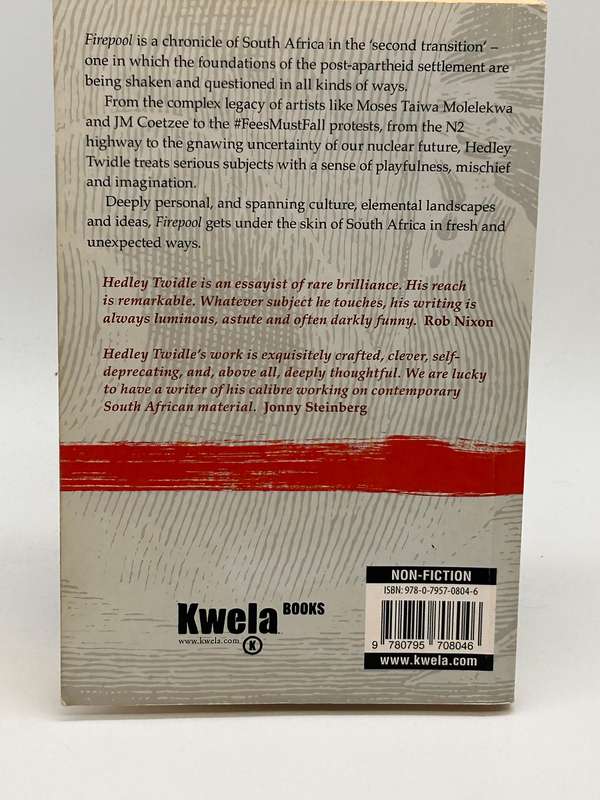 Firepool: Experiences In An Abnormal World - Hedley Twidle