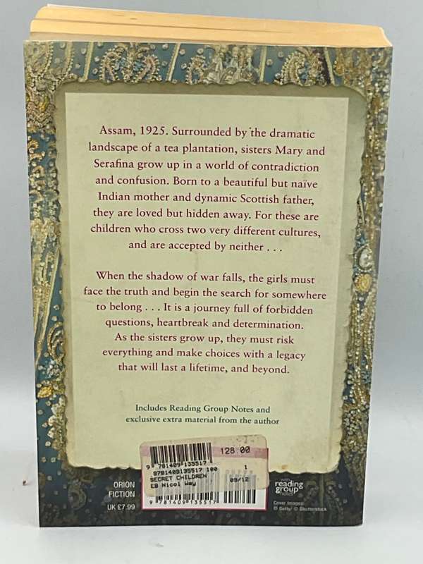 The Secret Children by Alison McQueen