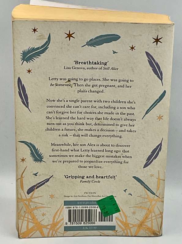We Never Asked for Wings by Vanessa Diffenbaugh