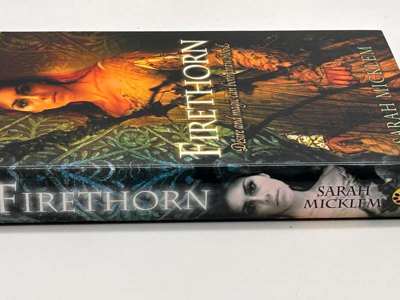 Firethorn by Sarah Micklem | Desire and magic can both draw blood