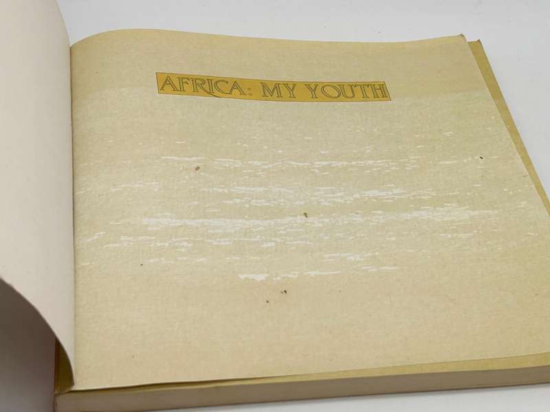 Africa: My Youth by DIck Knight ~ The Life And Death Of A Durban Community