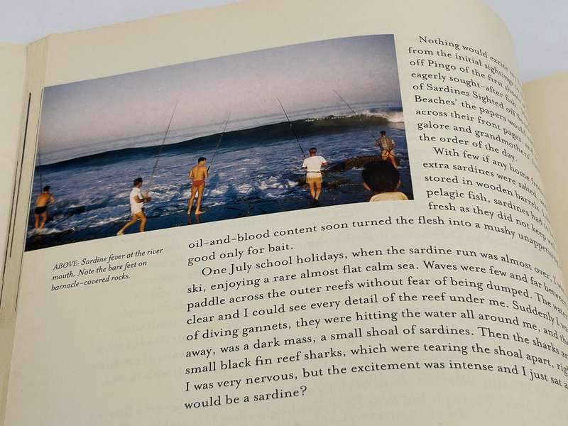 Africa: My Youth by DIck Knight ~ The Life And Death Of A Durban Community