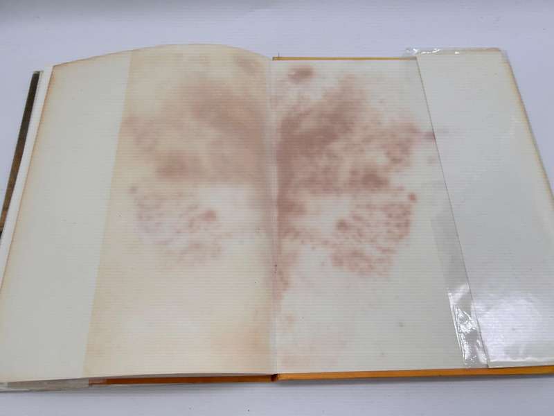 Henry Allan Fagan - Q.Fagan | Signed Plus with a letter by Gwen Fagan