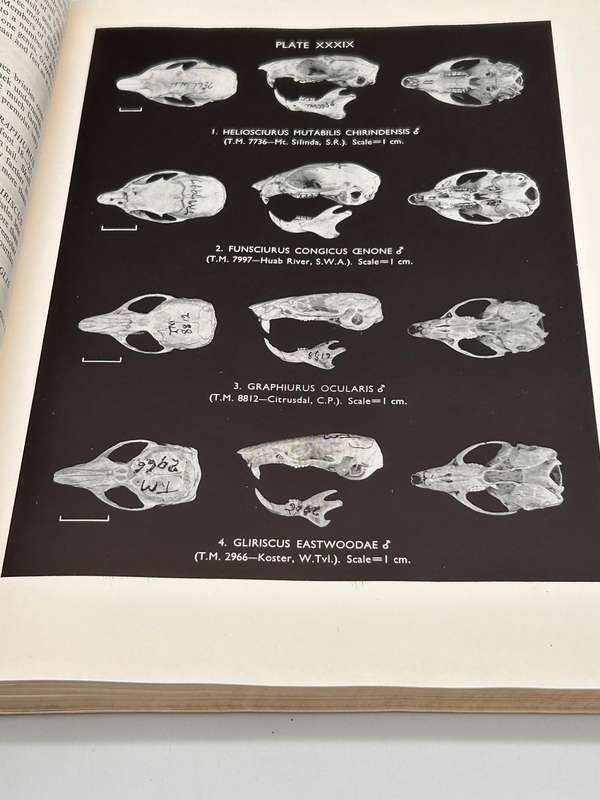 The Mammals of South Africa by Austin Roberts | Poor cover internally fine Research Copy 1951