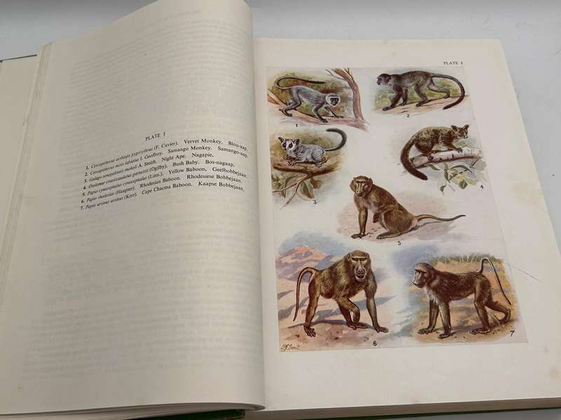 The Mammals of South Africa by Austin Roberts | First Edition 1951