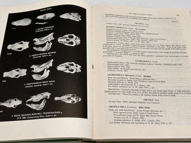 The Mammals of South Africa by Austin Roberts | First Edition 1951