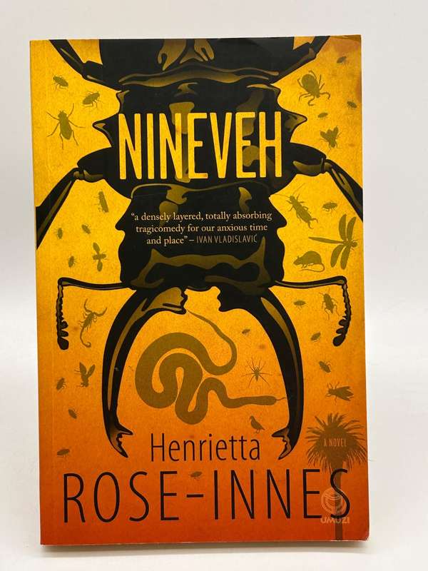Nineveh by Henrietta Rose-Innes