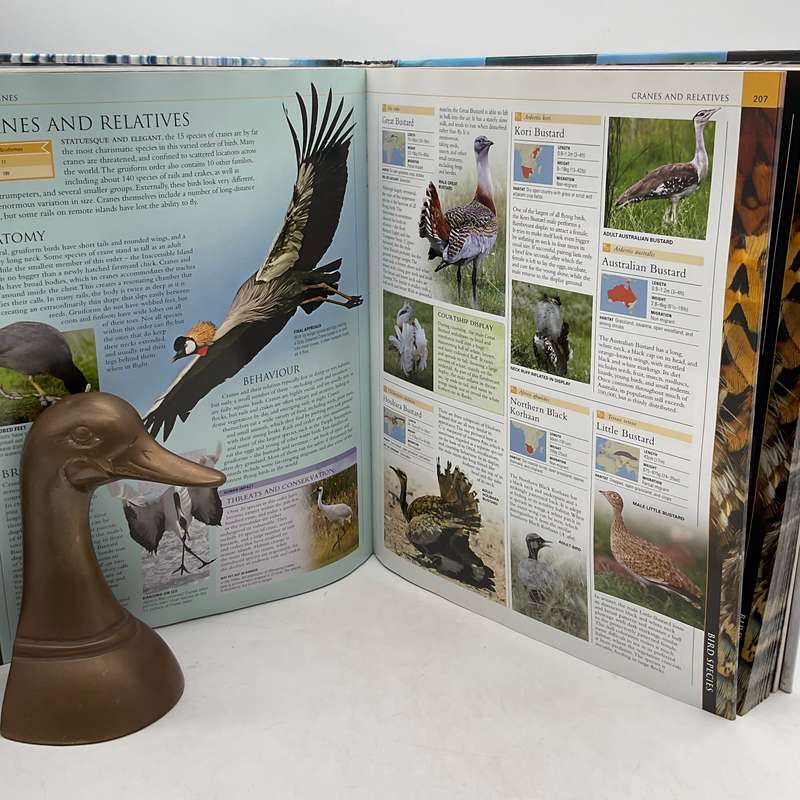 Bird - The Definitive Visual Guide | DK Photographic Guide. Large Book