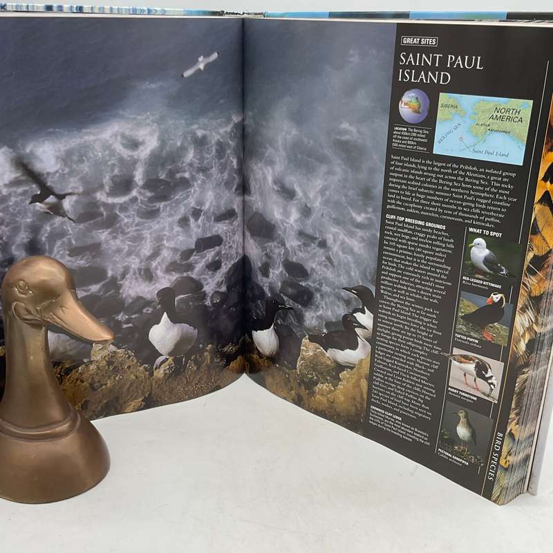Bird - The Definitive Visual Guide | DK Photographic Guide. Large Book