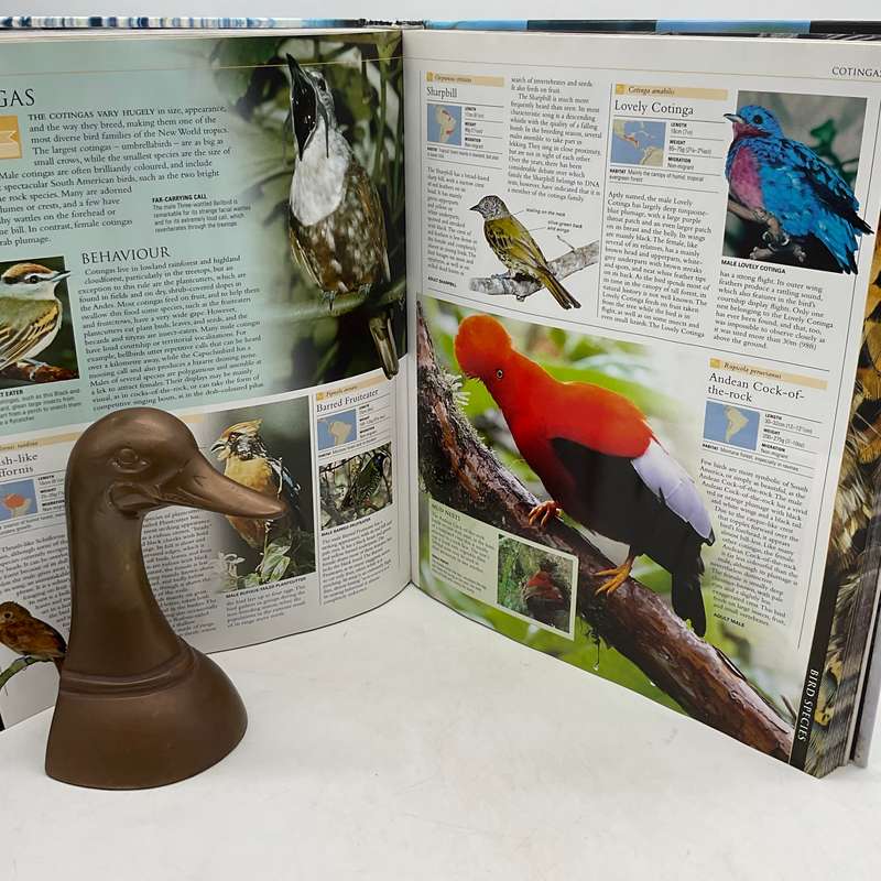Bird - The Definitive Visual Guide | DK Photographic Guide. Large Book