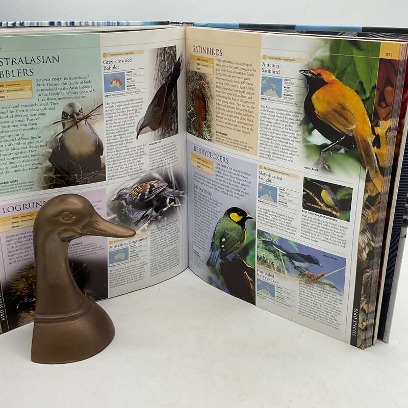 Bird - The Definitive Visual Guide | DK Photographic Guide. Large Book