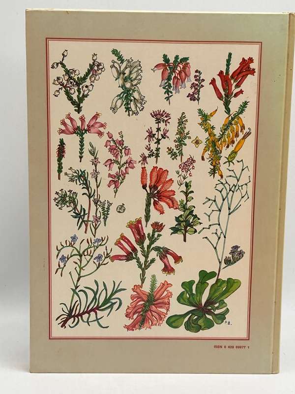 Flowering Plants of the Southern Cape by Pauline Bohnen