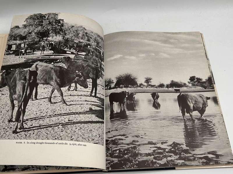 South West Africa - Alice Mertens