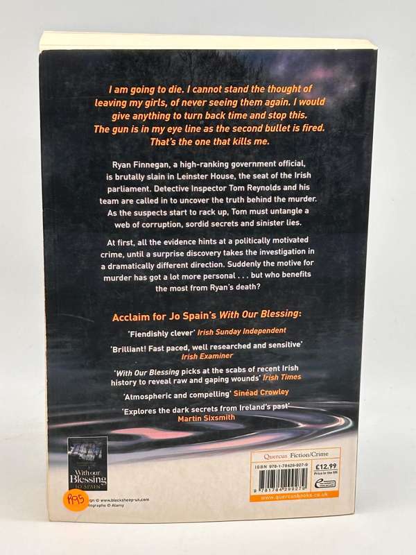 Beneath the Surface: An Inspector Tom Reynolds Mystery - Jo Spain