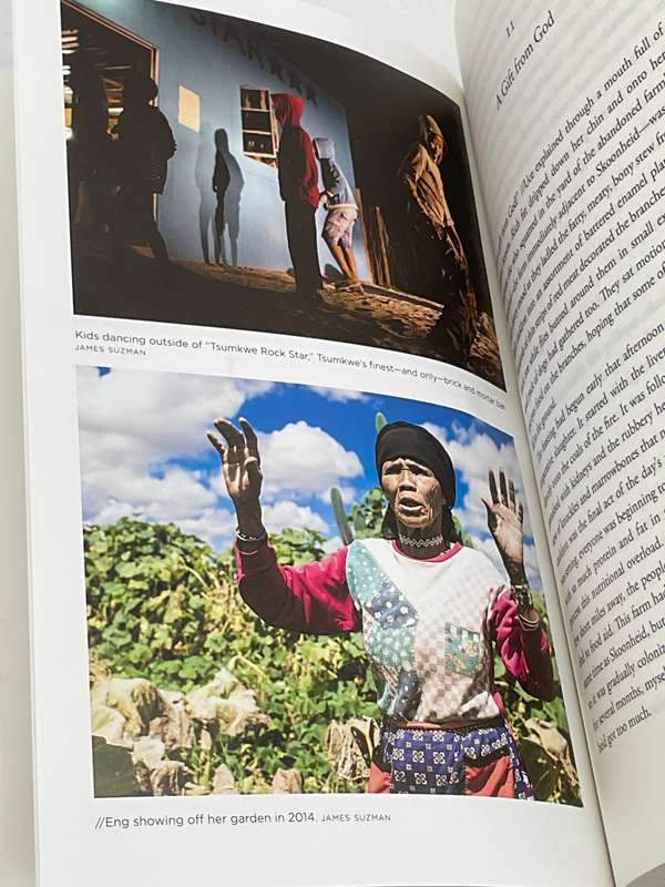Affluence Without Abundance: The Disappearing World of the Bushmen - James Suzman