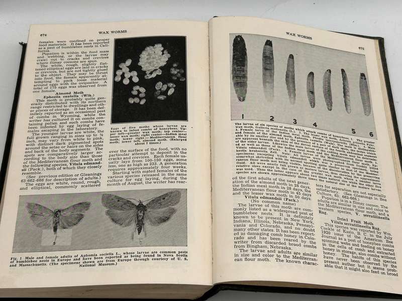ABC and XYZ of Bee Culture  The A.I Root Bee Library 1947 Edition