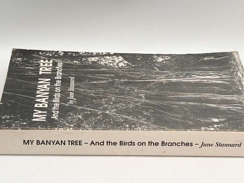 My Banyan Tree and the Birds on the Branches by June Stannard | Signed & inscribed KZN