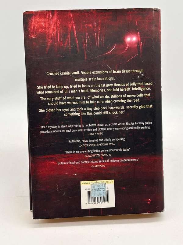 Beyond Reach by Graham Hurley | DI Joe Faraday, #10