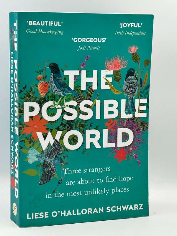 The Possible World by Liese O'Halloran Schwarz