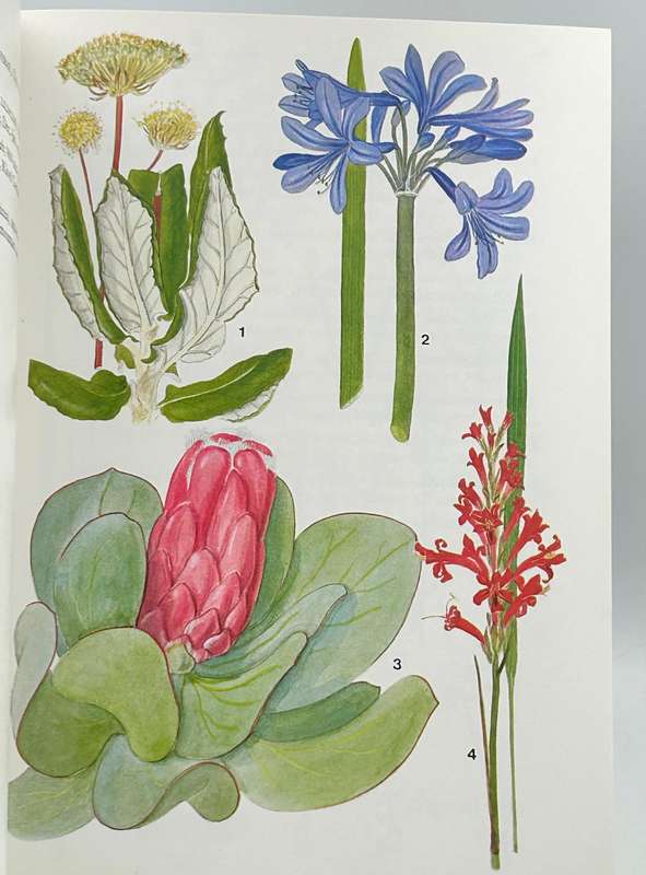 South African Wild Flower Guide 3 - Cape Peninsula - Mary Maytham Kidd