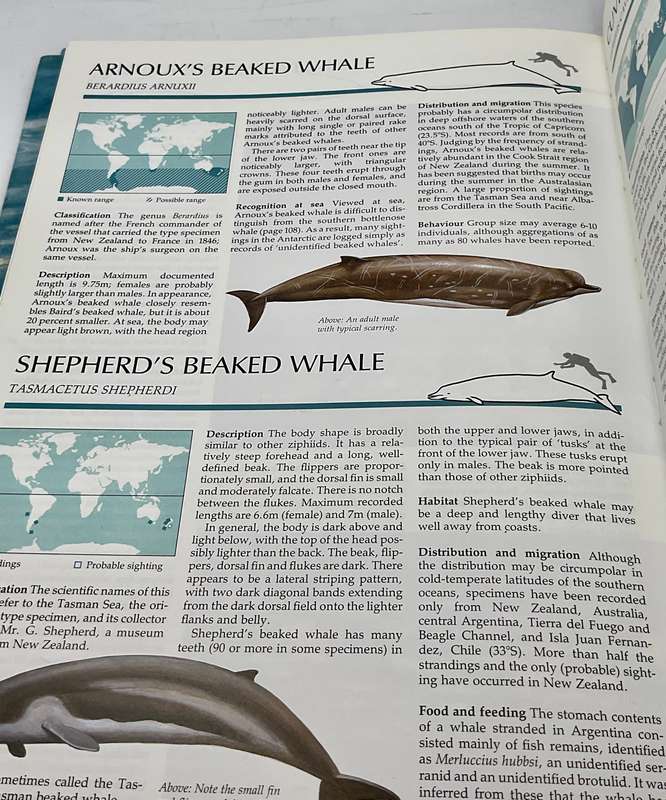 The Illustrated Encyclopedia of Whales and Dolphins by Dr. Anthony R. Martin