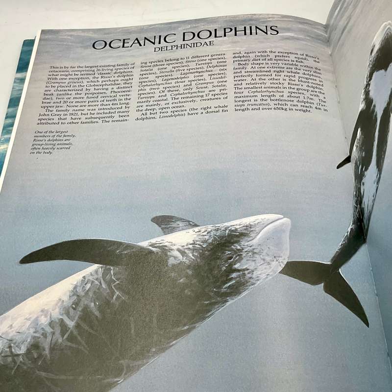 The Illustrated Encyclopedia of Whales and Dolphins by Dr. Anthony R. Martin