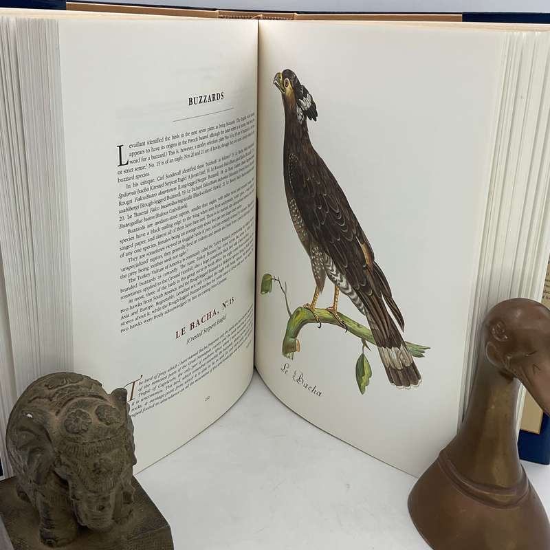 Francois Levaillant and the Birds of Africa