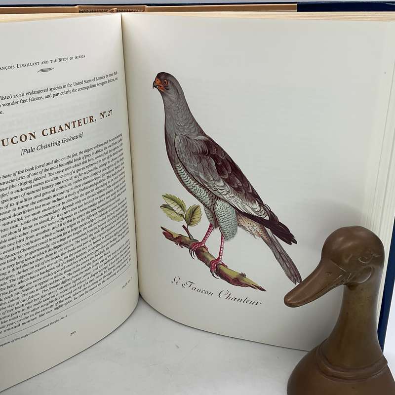 Francois Levaillant and the Birds of Africa