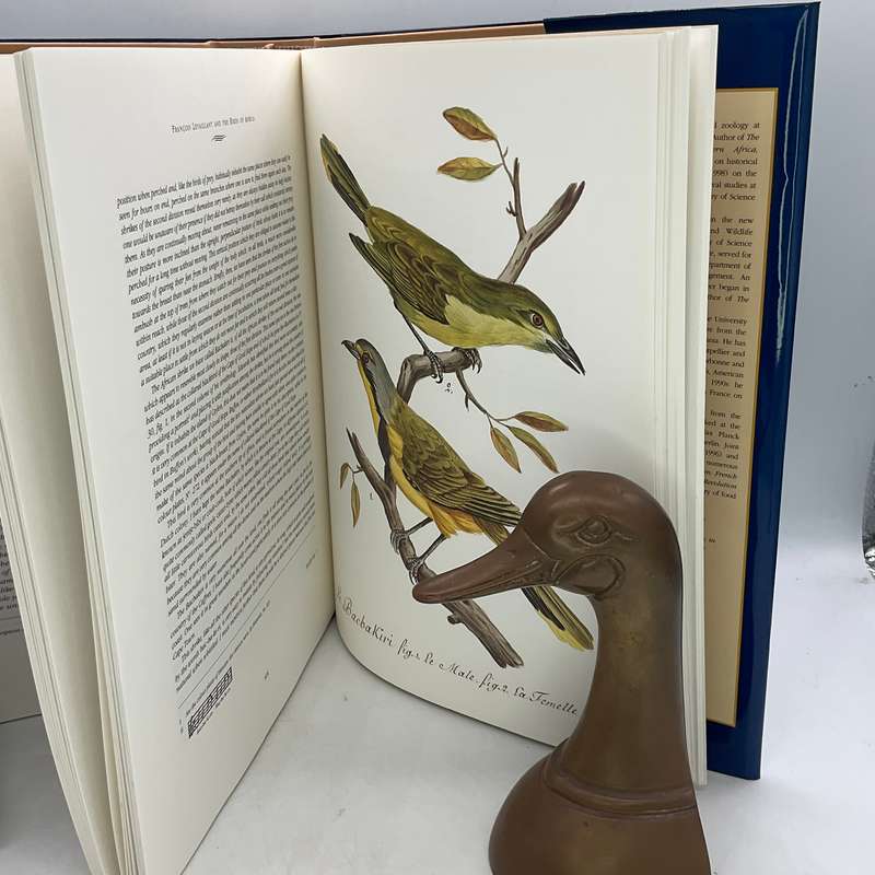 Francois Levaillant and the Birds of Africa