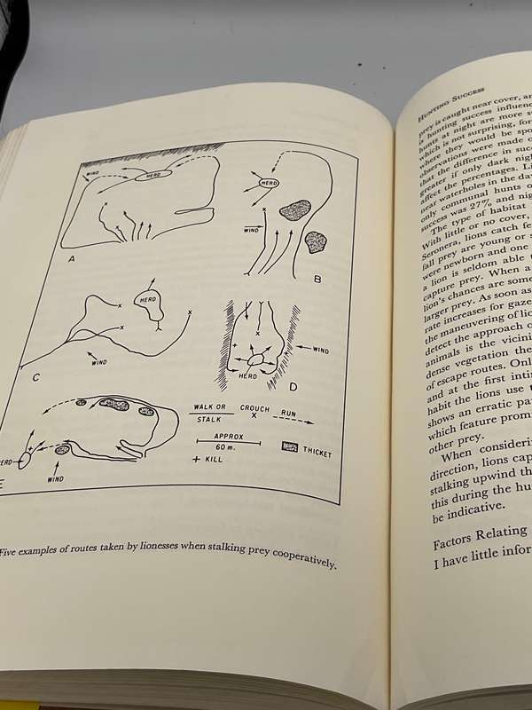 The Serengeti Lion: A Study of Predator-Prey Relations by George Schaller