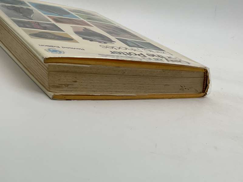 Clay and Glazes for the Potter Revised Edition - Daniel Rhodes