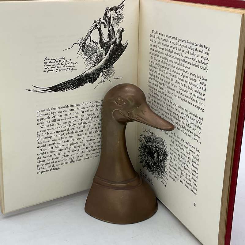 Wings of the Wild - H von Michaelis 1953