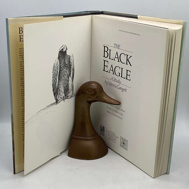 The Black Eagle: A Study by Valerie Gargett
