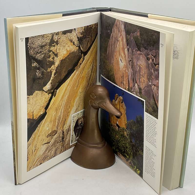 The Black Eagle: A Study by Valerie Gargett