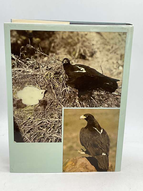 The Black Eagle: A Study by Valerie Gargett