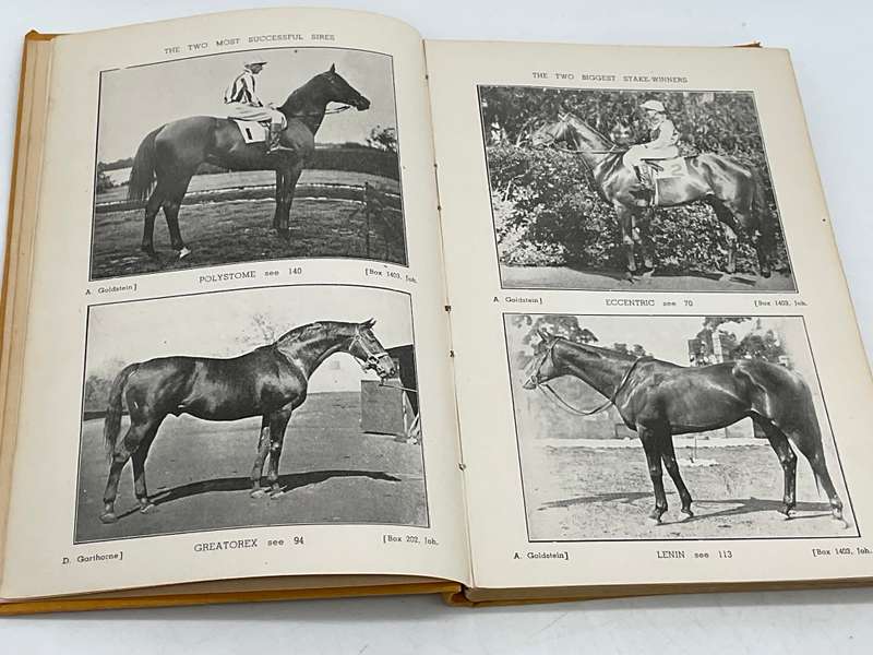 Stallions in South Africa for about 50 Years Prior to 1945 by AD Lewis | Rare