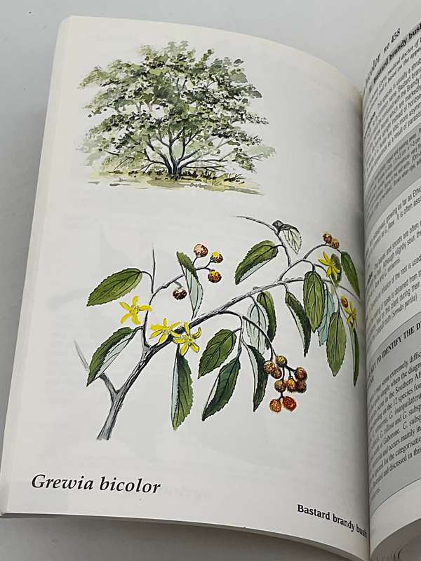 Trees and Shrubs of the Okavango Delta: Medicinal Uses and Nutritional Value - Veronica Roodt