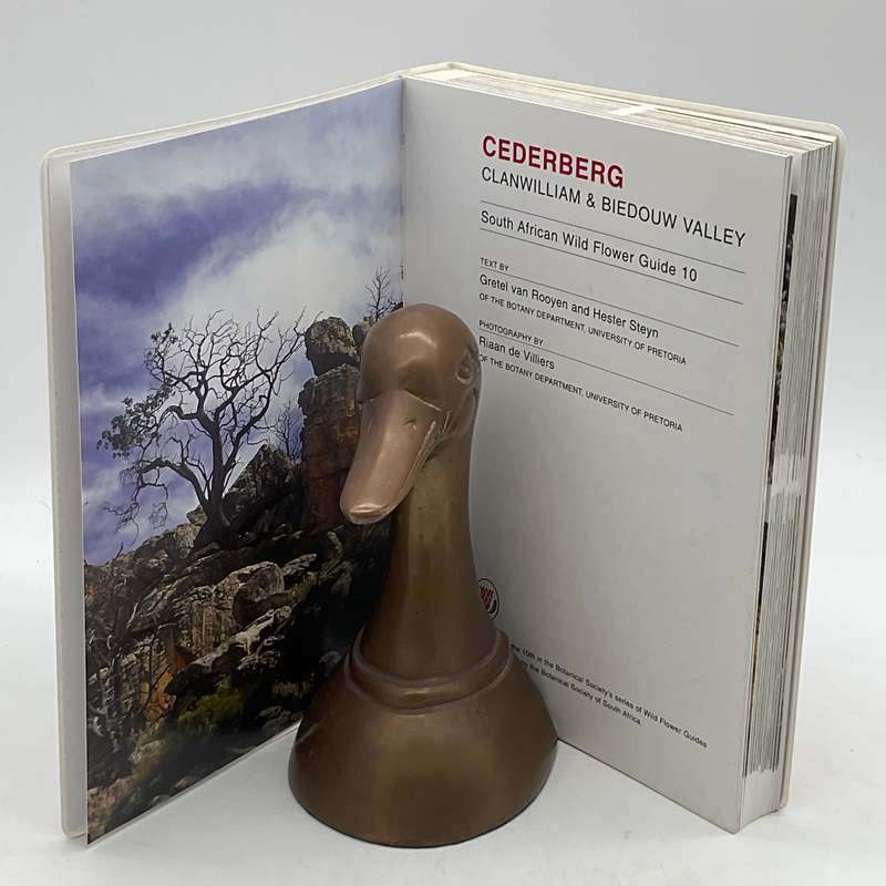 Cederberg: Clanwilliam & Biedouw Valley: South African Wildflower Guide 10