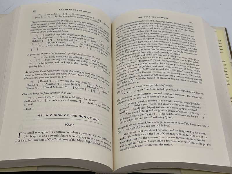 The Dead Sea Scrolls: A New Translation - Michael O. Wise, Martin Abegg & Edward Cook