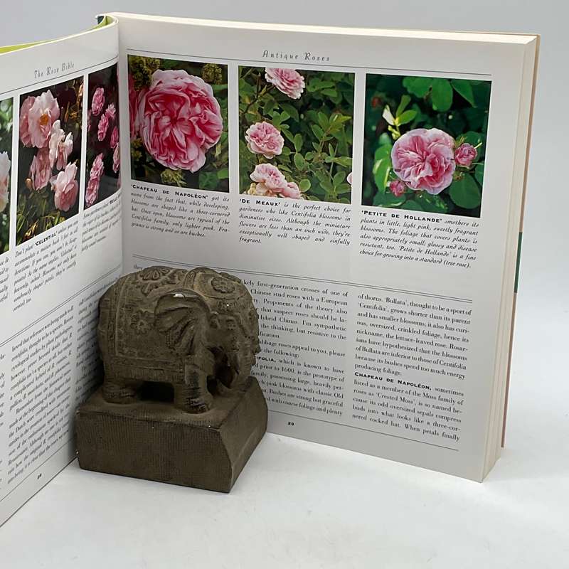 The Rose Bible by Rayford C. Reddell