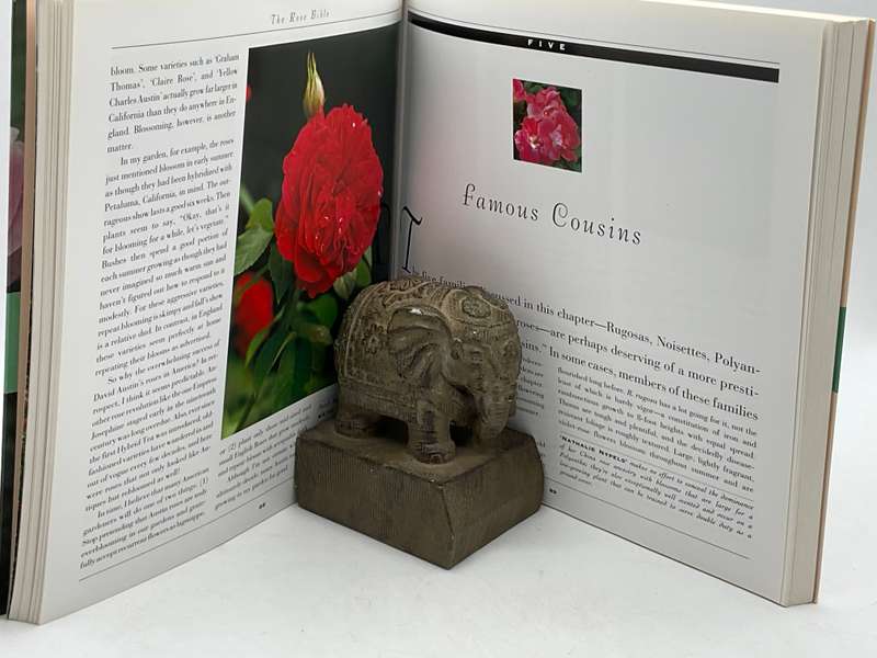 The Rose Bible by Rayford C. Reddell