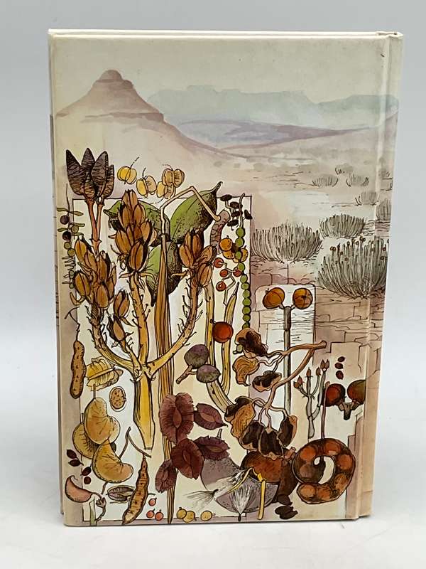 Damaraland Flora - Patricia Craven and Christine Marais | Spitzkoppe, Brandberg, Twyfelfontein