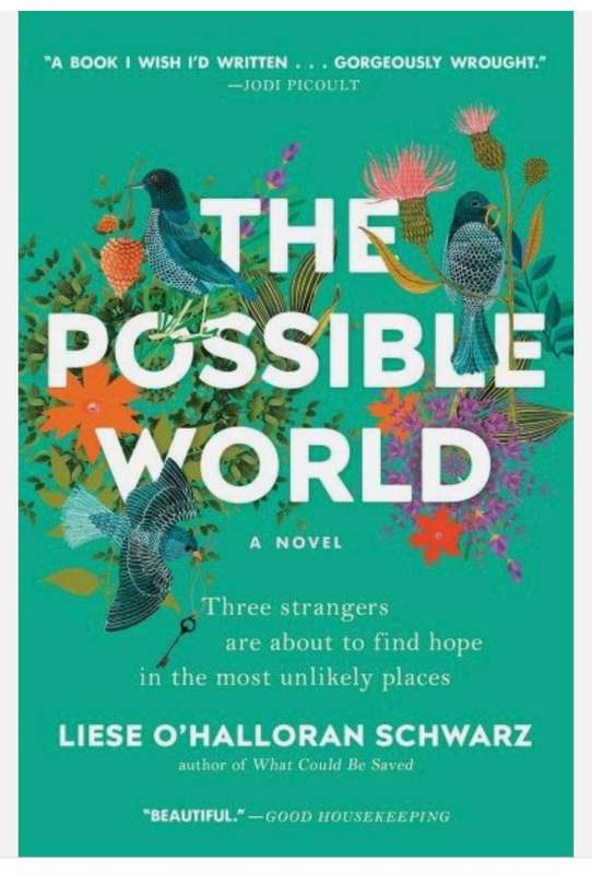 The Possible World by Liese O'Halloran Schwarz