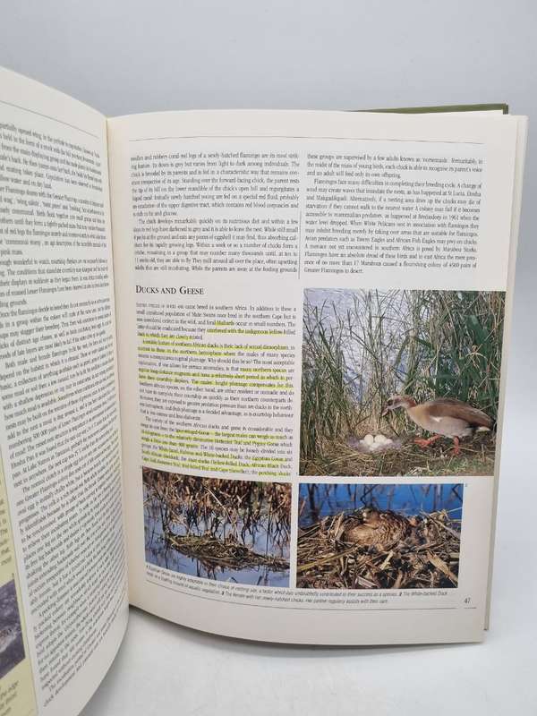Nesting Birds: The Breeding Habitat of South African Birds by Peter Steyn