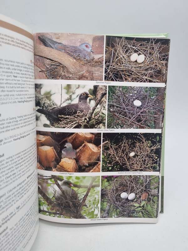 Roberts Nests & Eggs of Southern African Birds - Warwick Tarboten