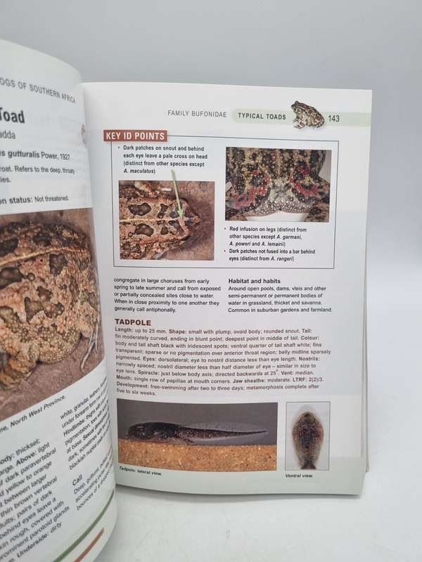A Complete Guide to the Frogs of Southern Africa - Louis du Preez & Vincent Carruthers | Includes CD